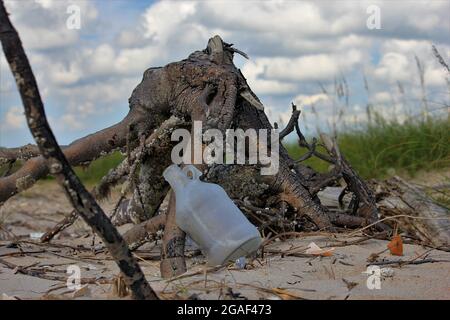 Als ich am weißen Strand entlang ging, sah ich einen ausgewaschenen Krug mit etwas Treibholz an den äußeren Ufern von North Carolina liegen Stockfoto