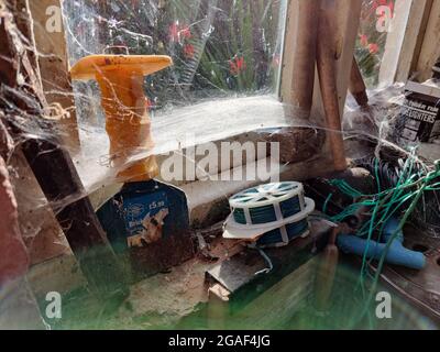 Spinnweben am Fenster im Schuppen Stockfoto