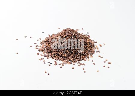 Haufen schwarzer Sesamsamen (Sesamum indicum) vor weißem Hintergrund Stockfoto
