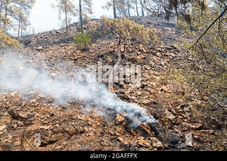 Marmaris, Mugla, Türkei – 30. Juli 2021. Baumstamm, der nach den Waldbränden vom 2021. Juli in Marmaris in der türkischen Kurstadt noch brennt. Stockfoto