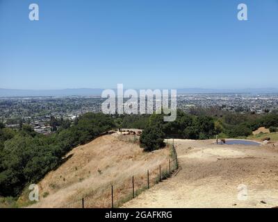 USA. Mai 2021. Luftaufnahme der Oakland Hills, Oakland, Kalifornien, 18. Mai 2021. (Foto: Smith Collection/Gado/Sipa USA) Quelle: SIPA USA/Alamy Live News Stockfoto