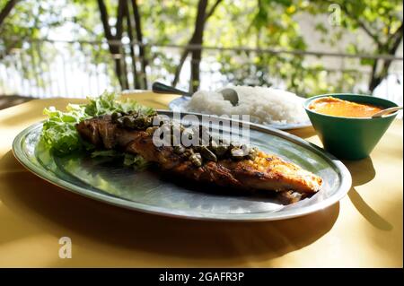 Gegrillter Fisch, typische und traditionelle brasilianische Küche in Piracicaba, São Paulo. Stockfoto