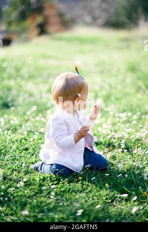 Das kleine Mädchen mit einer Kamille hinter ihrem Ohr sitzt auf einem grünen Rasen. Rückansicht Stockfoto