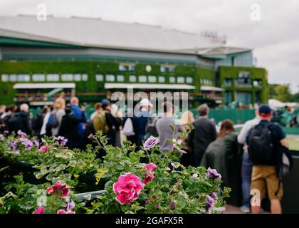 Blumen mit Blick auf den Court 8 während der WM 2021 in Wimbledon mit Blick auf den Center Court Stockfoto