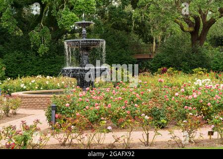 Blick auf den Großen Rasen in den Bellingrath Gardens Stockfoto