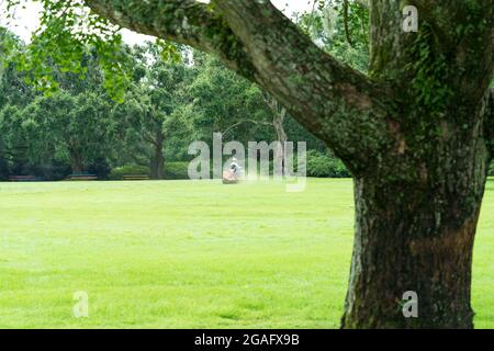 Blick auf den Großen Rasen in den Bellingrath Gardens Stockfoto