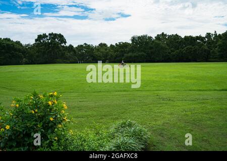 Blick auf den Großen Rasen in den Bellingrath Gardens Stockfoto