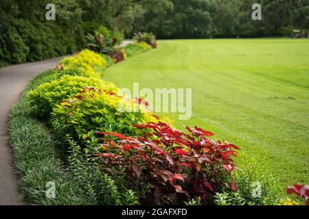 Blick auf den Großen Rasen in den Bellingrath Gardens Stockfoto