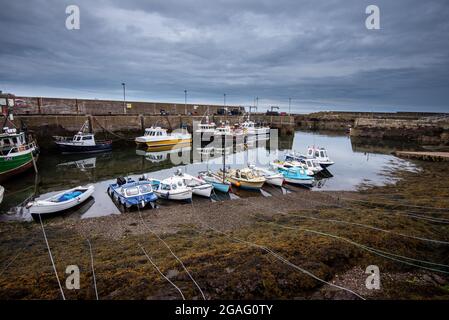 St. Abbs an der schottischen Südostküste, Scottish Borders, Schottland, Vereinigtes Königreich Stockfoto