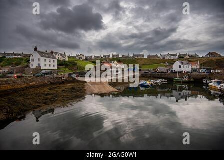 St. Abbs an der schottischen Südostküste, Scottish Borders, Schottland, Vereinigtes Königreich Stockfoto