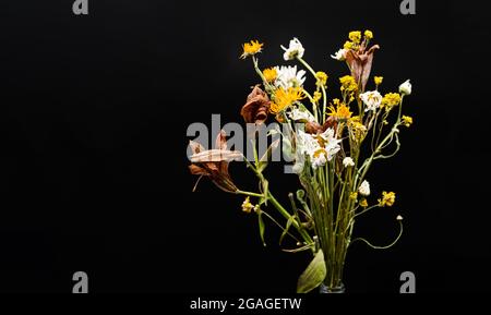 Minimalistisches, stilvolles Stillleben von getrockneten Blumen in Glasvase. Stimmungsvolle Herbstkomposition mit Bouquet von schönen getrockneten Blumen Stockfoto