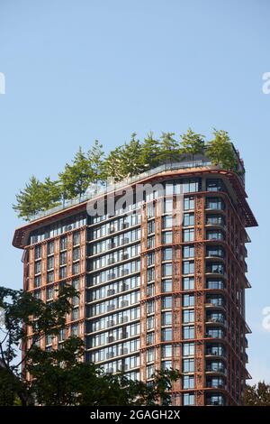 Bäume wachsen auf der Woodward-Gebäude in der Innenstadt von Vancouver, British Columbia, Kanada Stockfoto