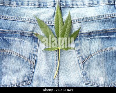 Industrielles Hanfblatt auf Jeans-Stoff Stockfoto