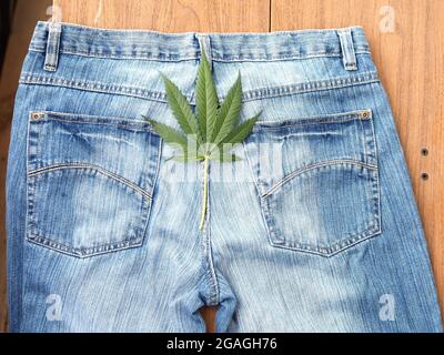 Industrielles Hanfblatt auf Jeans-Stoff Stockfoto
