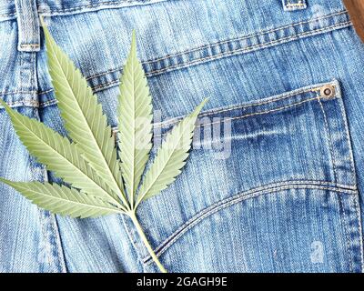 Industrielles Hanfblatt auf Jeans-Stoff Stockfoto