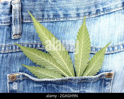 Industrielles Hanfblatt auf Jeans-Stoff Stockfoto