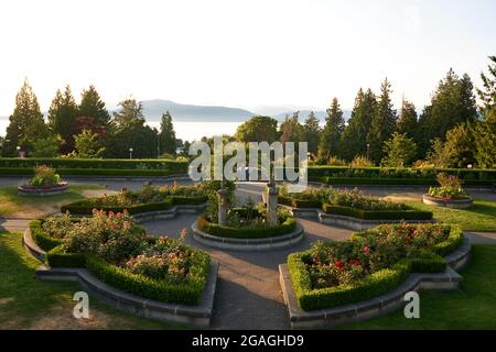 Tee UBC Rose Garden bei Sonnenuntergang, University of British Columbia, Vancouver, Kanada Stockfoto