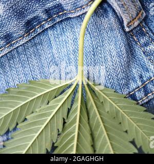 Industrielles Hanfblatt auf Jeans-Stoff Stockfoto