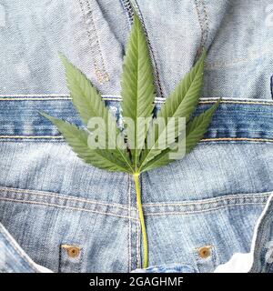 Industrielles Hanfblatt auf Jeans-Stoff Stockfoto