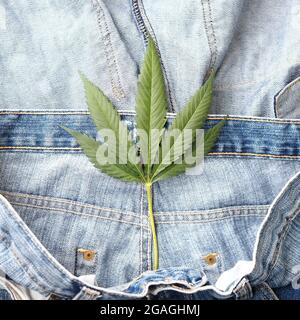 Industrielles Hanfblatt auf Jeans-Stoff Stockfoto