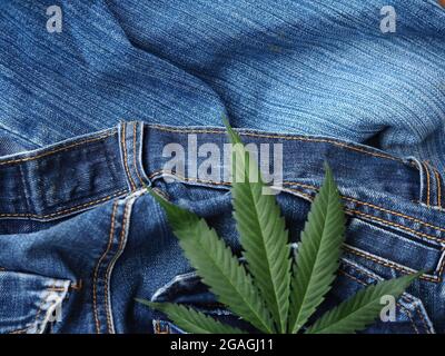 Industrielles Hanfblatt auf Jeans-Stoff Stockfoto
