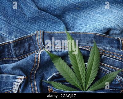 Industrielles Hanfblatt auf Jeans-Stoff Stockfoto