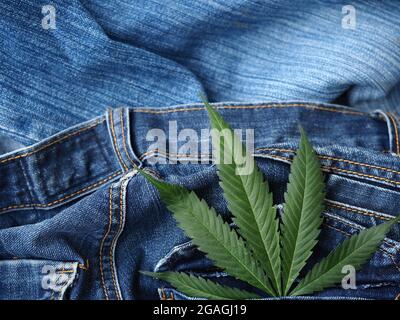 Industrielles Hanfblatt auf Jeans-Stoff Stockfoto
