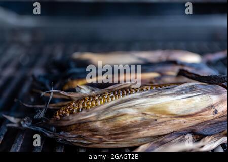 Leicht verkohlter Mais auf dem Maiskolben mit Schale auf einem Grillrost Stockfoto