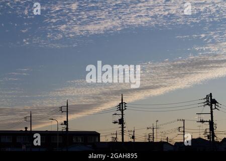 Bänder von Zirrokumuluswolken bei Sonnenaufgang über Telegrafenpolen in Tsuruma, Kanagawa, Japan. Stockfoto