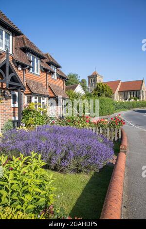 Hütten und Gärten im Dorf kiddingfold in surrey Stockfoto