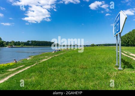 Urdenbachen Kämpe Naturschutzgebiet, Niederrheinische Kulturlandschaft mit Weiden, Obstbäumen und feuchten Wiesen, zwischen dem Rhein und einem Arm der Stockfoto