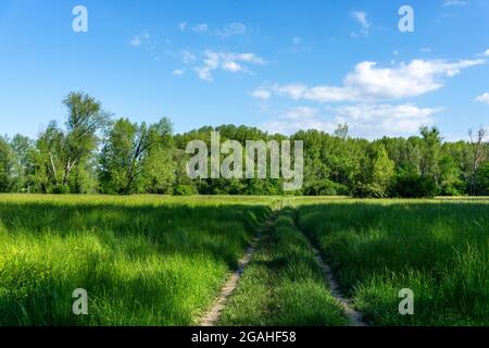 Urdenbachen Kämpe Naturschutzgebiet, Niederrheinische Kulturlandschaft mit Weiden, Obstbäumen und feuchten Wiesen, zwischen dem Rhein und einem Arm der Stockfoto