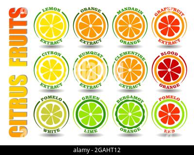 Kreatives Konzept Set aus runden Cartoon-Logos mit Zitrusfrüchten-Ikonen. Flache Illustration Symbole von Orange, Zitrone, Limette, Grapefruit, Pomelo, Mandarin, Stock Vektor