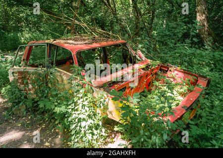 Ein überwuchert verlassenes Auto in der Tschernobyl-Sperrzone in der Nähe von Tschernobyl, Ukraine Stockfoto