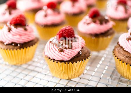 Gourmet Schokolade Himbeerkuchen mit Schoko-Ganache und mit einer frischen Himbeere bestochen. Stockfoto