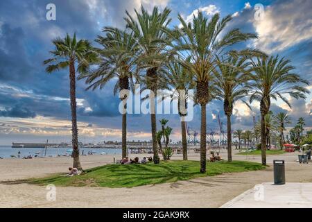 Sandstrand Malaga, Playa de la Malagueta, Palmen, Costa del Sol, Provinz Malaga, Andalusien, Spanien, Europa, Stockfoto