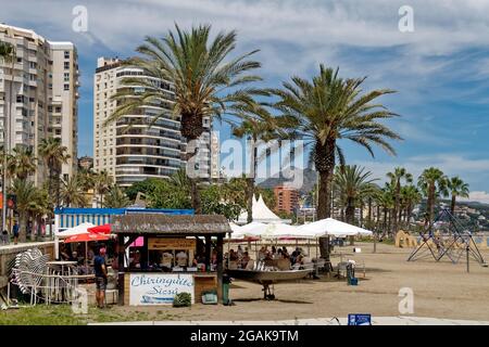 Sandstrand Malaga, Playa de la Malagueta, Chiringuito Sicsu, Beach Bar, Palmen, Costa del Sol, Provinz Malaga, Andalusien, Spanien, Europa, Stockfoto