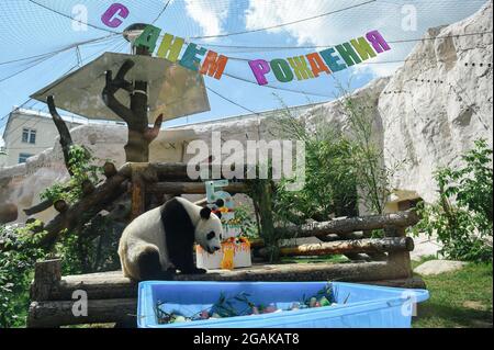 Moskau, Russland. Juli 2021. Der riesige Panda Ru Yi nähert sich seinem Geburtstagskuchen im Moskauer Zoo in Moskau, der Hauptstadt Russlands, am 31. Juli 2021. Der Moskauer Zoo feierte seinen Geburtstag für den riesigen Panda Ru Yi, der 2019 aus China für ein 15-jähriges wissenschaftliches Programm eintraf. Quelle: Evgeny Sinitsyn/Xinhua/Alamy Live News Stockfoto