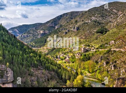 Dorf Sainte-Enimie, Gorges du Tarn, Gemeinde Gorges du Tarn Causses, Département Lozere, Region Ozzitanie, Frankreich Stockfoto