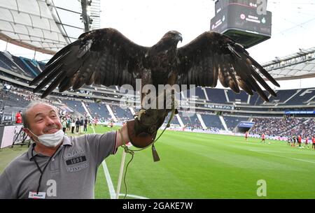 31. Juli 2021, Hessen, Frankfurt/Main: Fußball: Testspiele, Eintracht Frankfurt - ALS Saint Etienne im Deutsche Bank Park. Frankfurts Maskottchen, der Steinadler 'Attila', ist vor dem Spiel mit Falkner Norbert Lawitschka bei den Fans. Foto: Arne Dedert/dpa Stockfoto