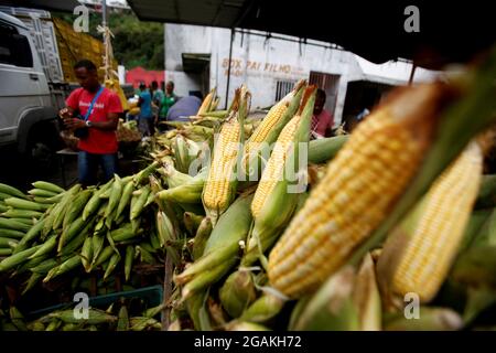 salvador, bahia, brasilien - 17. juni 2019: Grüner Mais zum Verkauf auf der Messe São Joaquim in der Stadt Salvador. Stockfoto