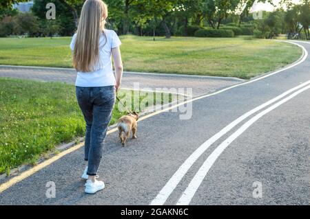 Der Besitzer spaziert im Park mit seinem Hund an der Leine. Nahaufnahme im Hochformat Stockfoto
