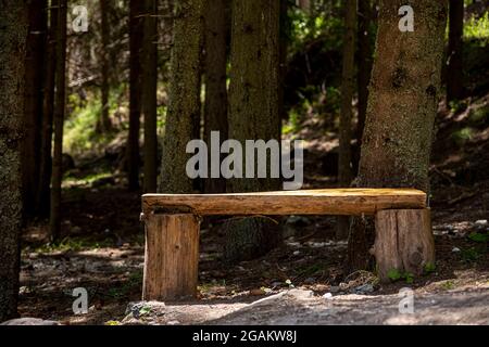 Eine schöne Holzbank steht in den Wäldern Bulgariens. Stockfoto