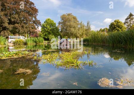 Haus auf dem Ententeich im Zentrum eines der beliebtesten Kreisverkehre Großbritanniens. Stockfoto