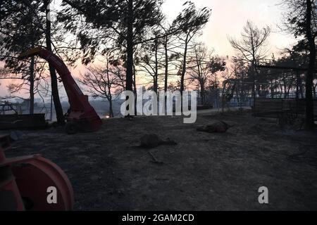 Alle Häuser wurden während der Waldbrände im Dorf Ulukapi Sulek in der Nähe der Region Manavgat in Antalya verbrannt. Mehr als 70 Waldbrände sind diese Woche in Provinzen an der türkischen Ägäis- und Mittelmeerküste sowie im Landesinneren ausgebrochen. Dörfer und einige Hotels wurden in touristischen Gebieten evakuiert und Menschen wurden über Felder geflohen, als Brände in ihren Häusern geschlossen wurden. Mindestens vier Menschen wurden am 28. Juli 2021 von Blasen getötet, die durch die Tourismusregionen Antalya, Manavgat, Türkei, Mittelmeerküste der Türkei gefegt wurden. Foto von Cenk Ozel/Depo Photos/ABACAPRESS.COM Stockfoto
