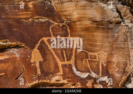 Spektakuläre Tafel stilisierter menschlicher Figuren auf der McKee Spring Petroglyph Site, Dinosaur National Monument, Utah, USA Stockfoto