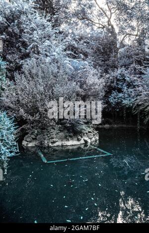 Terrapin Teich im Nationalgarten von Athen, Griechenland. Farblich abgestufte silbergrau vertikale natürliche Zusammensetzung Stockfoto