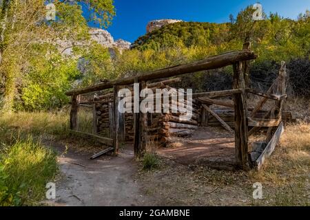 Hühnerstall in Josie's Cabin, einem Blockhaus, das von der Gehöft-Frau Josie Bassett Morris in den frühen 1900er Jahren gebaut wurde, Dinosaur National Monument, Utah, Stockfoto