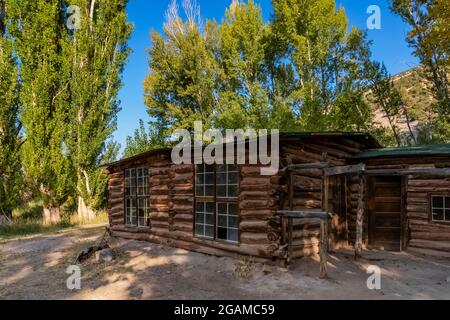 Josie's Cabin, ein Blockhaus, das von der Gehöft Josie Bassett Morris in den frühen 1900er Jahren gebaut wurde, Dinosaur National Monument an der Grenze von Utah und Stockfoto
