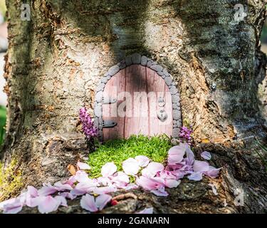 Kleine Märchentür aus Ton in einem Baumstamm mit rosa Blütenblättern. Stockfoto